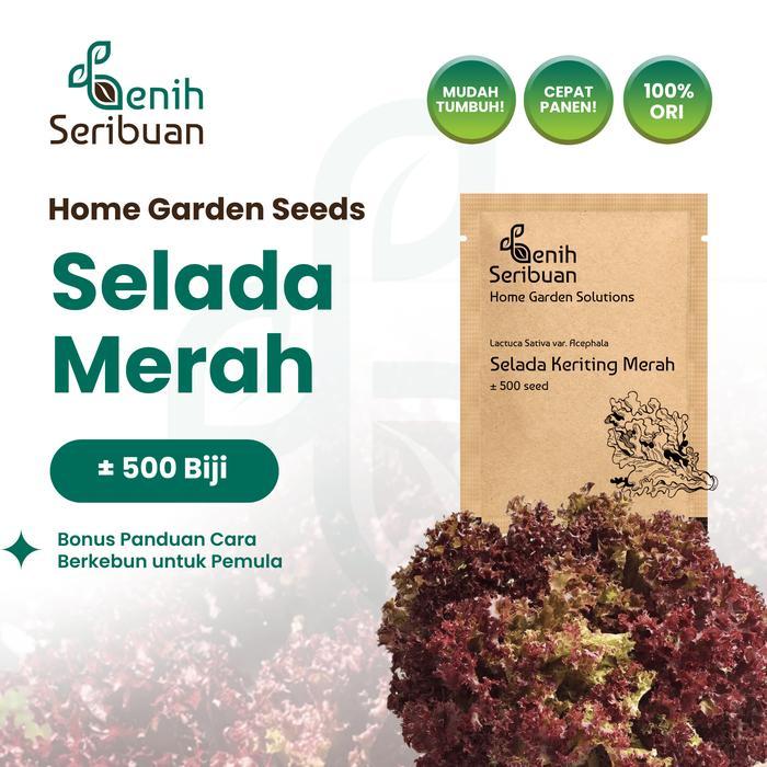 Benih Selada Merah - Benih Sayuran Seribuan - PREM SELADA MERAH