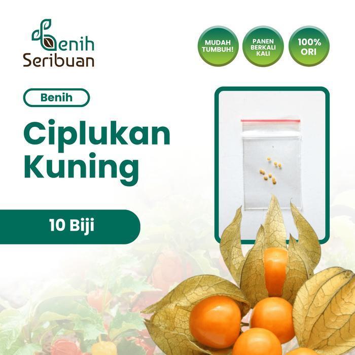 10 Benih Ciplukan Kuning Golden Berry Bibit Buah Morel Berries Import - CIPLUKAN KUNING