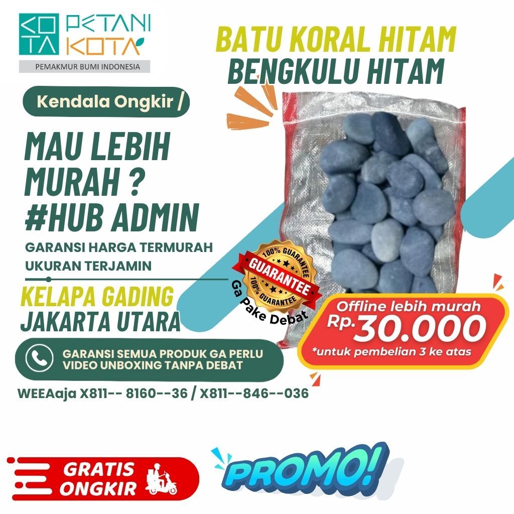 Batu Hitam Bengkulu 1 Karung (Batu Alam Koral Hias Taman) Ukuran Kecil Sedang Besar Ready