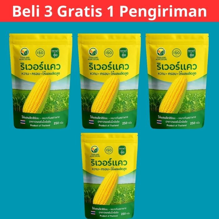 Jagung Thailand (Beli 3 gratis 1) Benih jagung manis Thailand - 1 Bungkus [ 250 gram ]