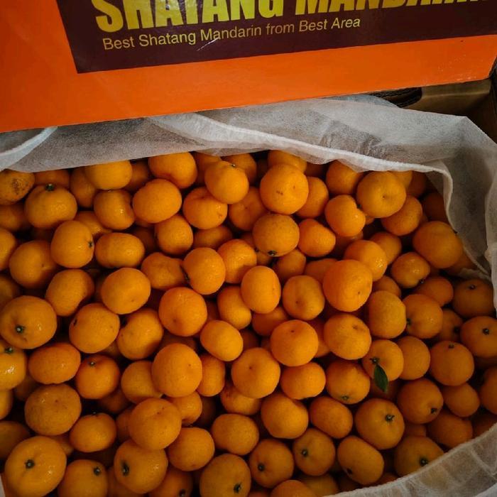 jeruk Shantang Mandarin manis tanpa biji 5 kg / dus