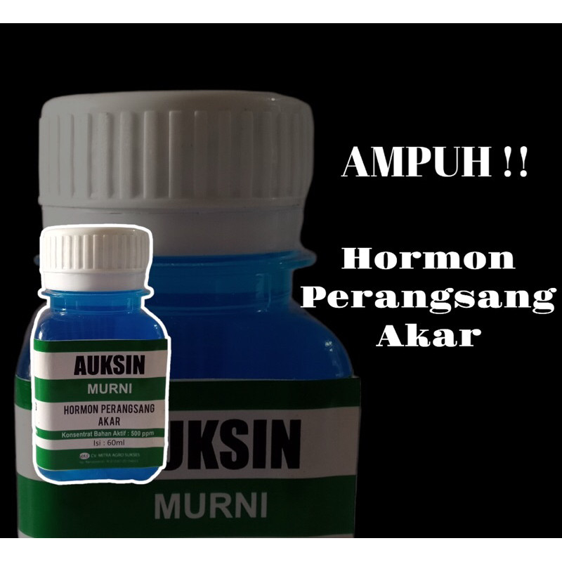 AUKSIN 60ML