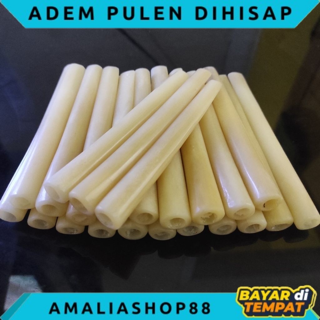 once pipa tulang unta ADEM PULEN GURIH