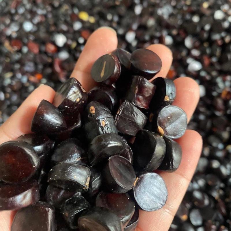 Jolang jaling kabau Sumatera DARI LAMPUNG 500 gr