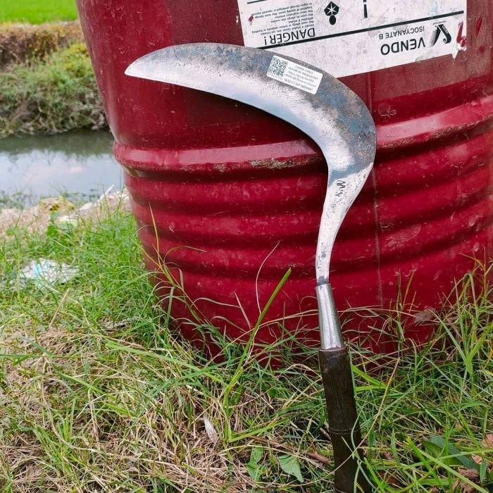 arit silet isen asli cap MININ ukuran besar Sage