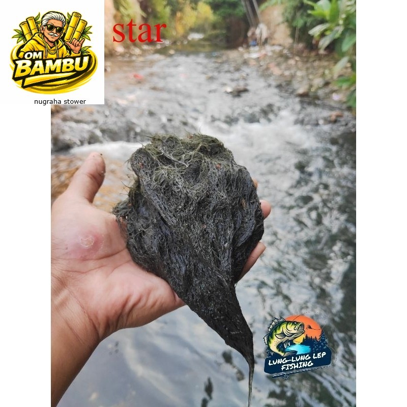 Lumut Batu Umpan Mancing Nila / Mujair Paling Jitu berat 100gram