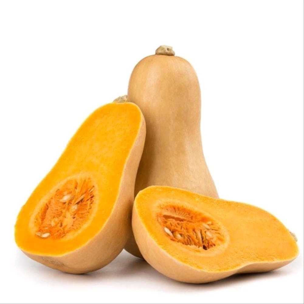 Isi 20 Biji labu Madu - Waluh F1 Seeds/benih biji