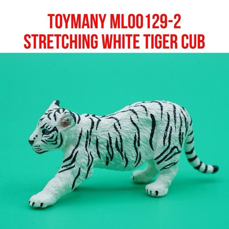 ToyMany ML00129-2 | White Tiger Cub Anak Macan Harimau Putih Bengala Bengal Betina Panthera Tigris |