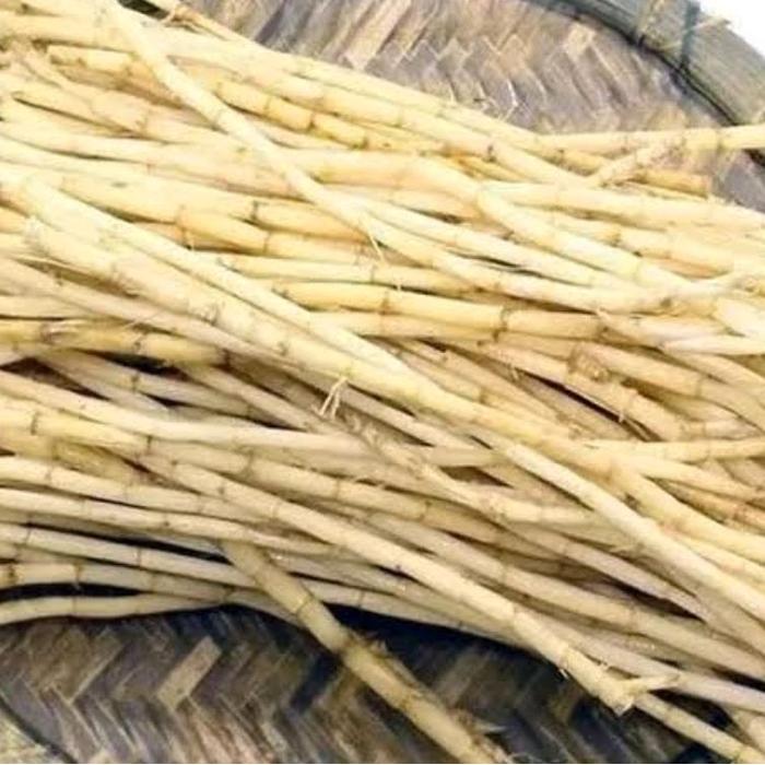 Akar alang alang segar - akar alang alang fresh 1 kg organik-az