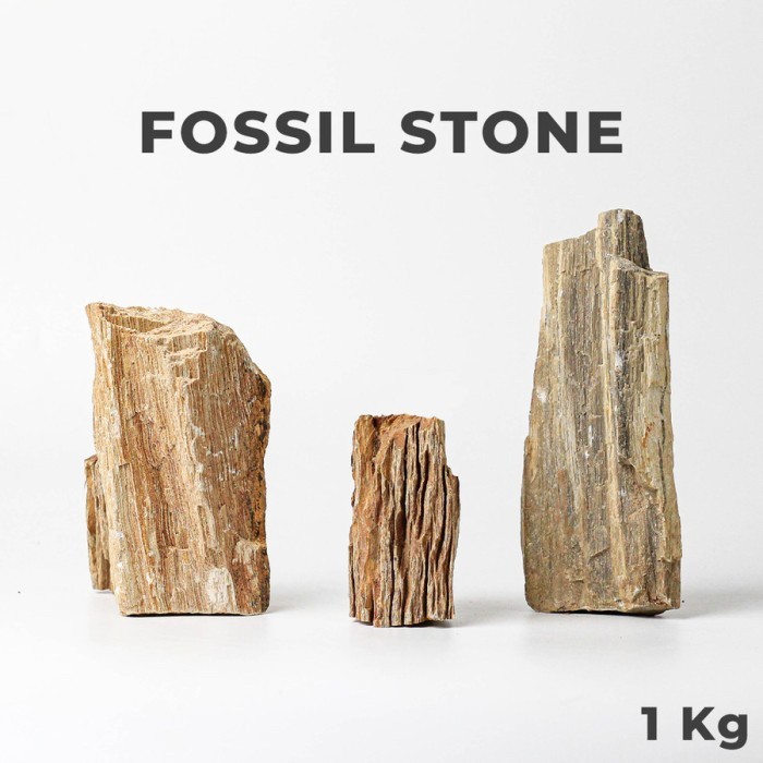 Batu Fosil Kayu Aquascape / Aquarium 1kg