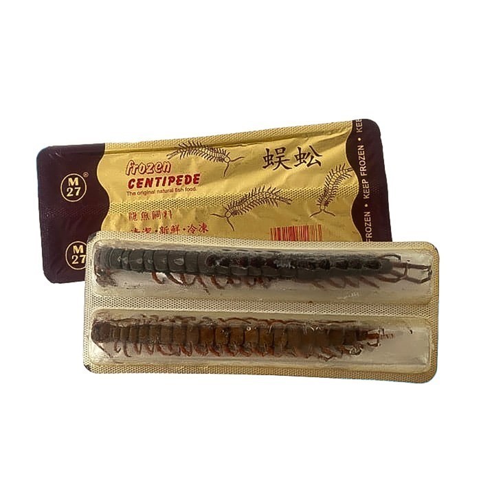 Kelabang Beku / Lipan Beku / Pakan Predator M27 Centipede