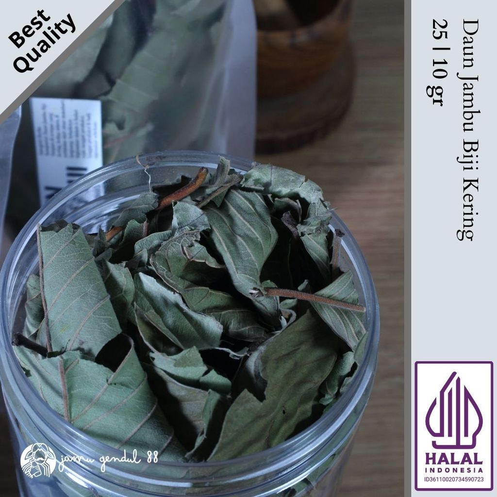 Daun Jambu Biji Kering - Teh Daun Jambu Biji