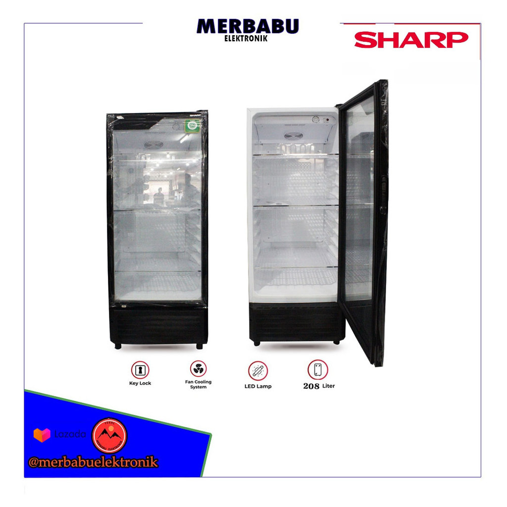 Showcase Sharp SCH 210 FS