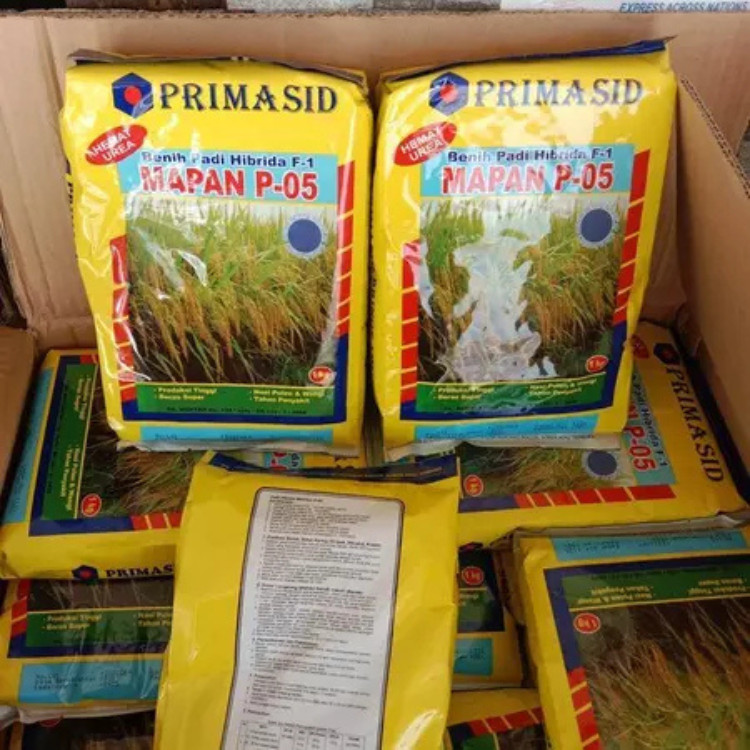 PROMO TERBATAS MAPAN P-05 - 1kg ( BENIH PADI HIBRIDA) BENIH UNGGUL / BENIH PADI MAPAN 05