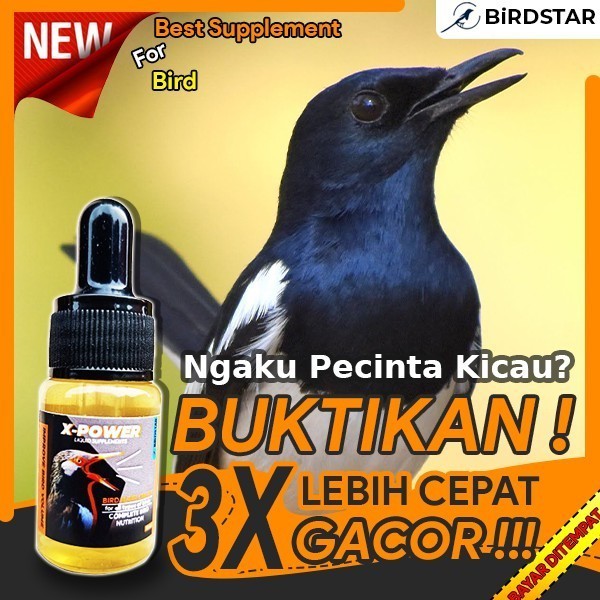 PIOONERVET  X-POWER VITAMIN OBAT BURUNG LOVEBIRD KENARI KACER JALAK SUREN MURAI BATU PLECI CENDET - 