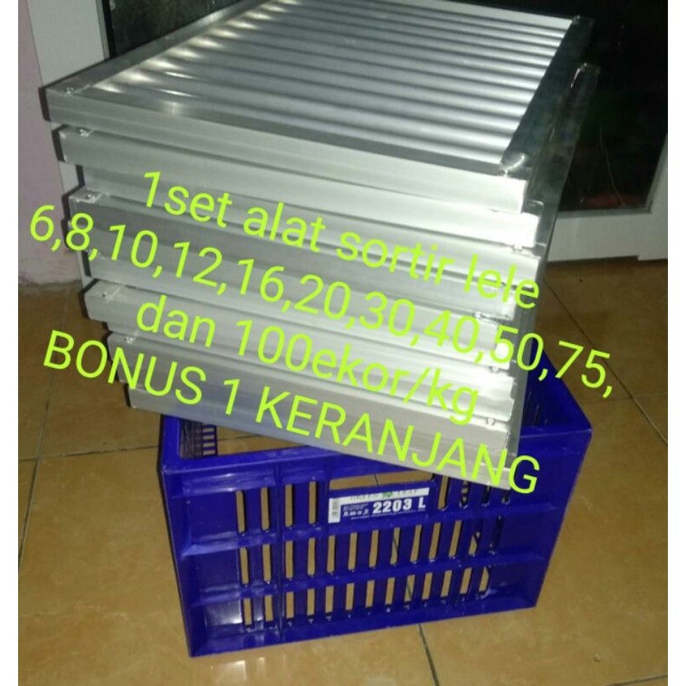 bak sortir lele 1set alat grading lele alat sortir lele sistem alumunium pengganti ember sortir lele