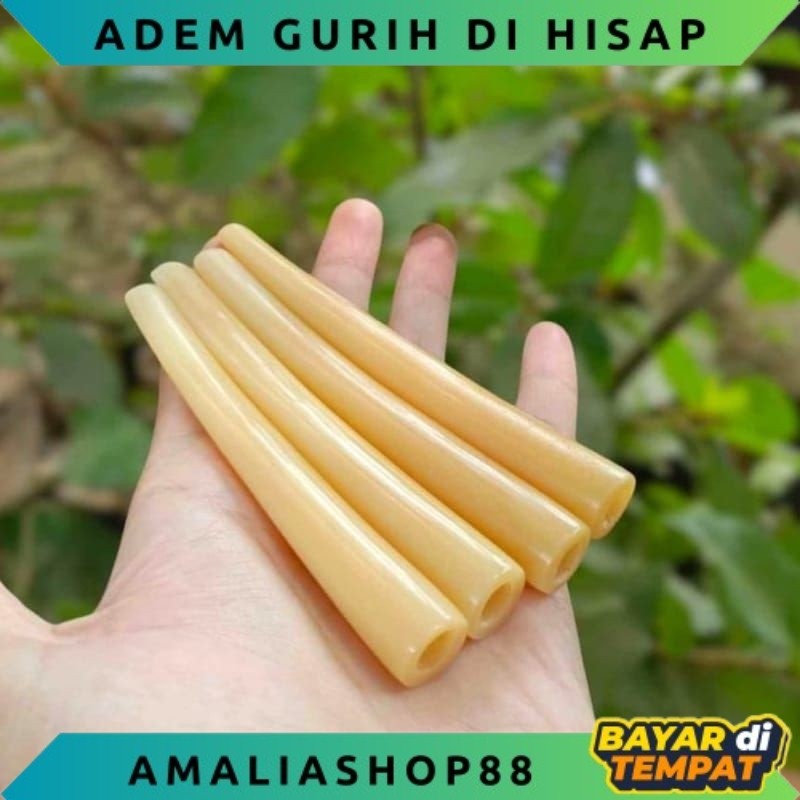 once pipa tulang unta  import ADEM PULEN GURIH