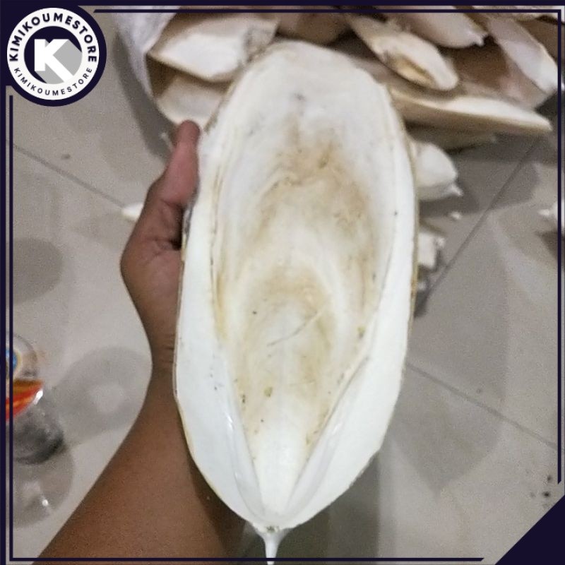 TULANG SOTONG ASINAN BURUNG  KEMASAN  TULANG SOTONG JUMBO TULANG SOTONG BESAR asinan burung tulang s