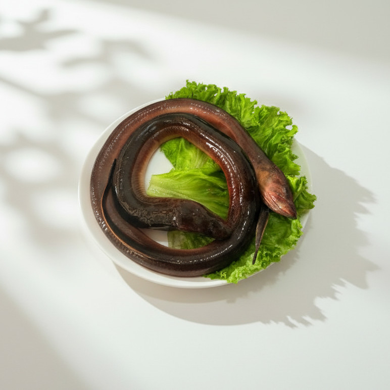 Belut Fresh Frozen 1kg | Belut Segar Beku | Belut Siap Masak | Belut Goreng / Sambal Belut