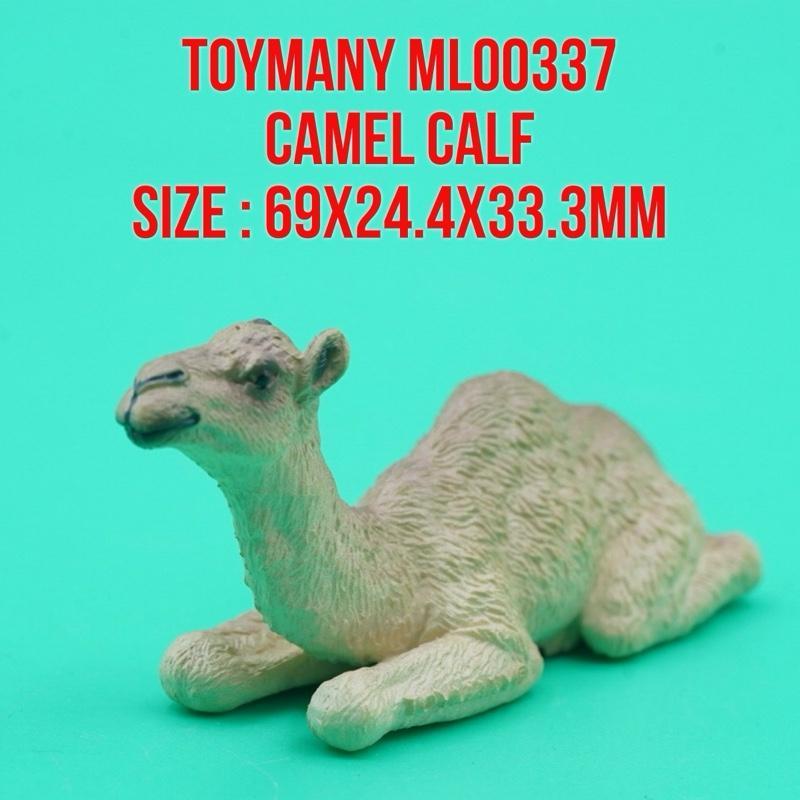 ToyMany ML00337 | Dromedary Camel Calf Anak Unta Punuk Satu Camelus Dromedarius | Ukuran : 69x24.4x3