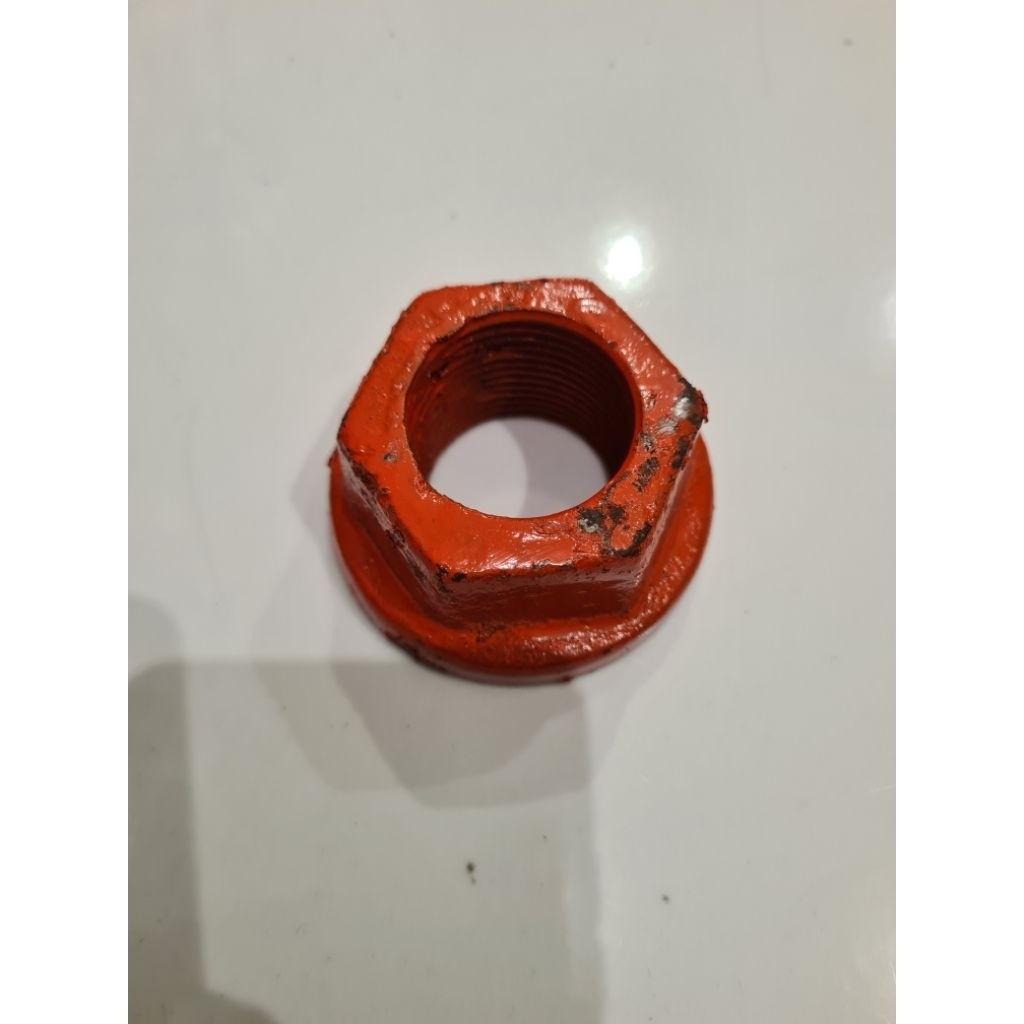 Mur Model Kuping Molen/ Mur Molen / Mur Kuping Molen