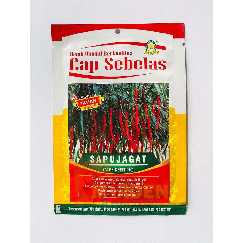 Benih Cabe Keriting SAPUJAGAT isi 2500an butir dari CAP SEBELAS