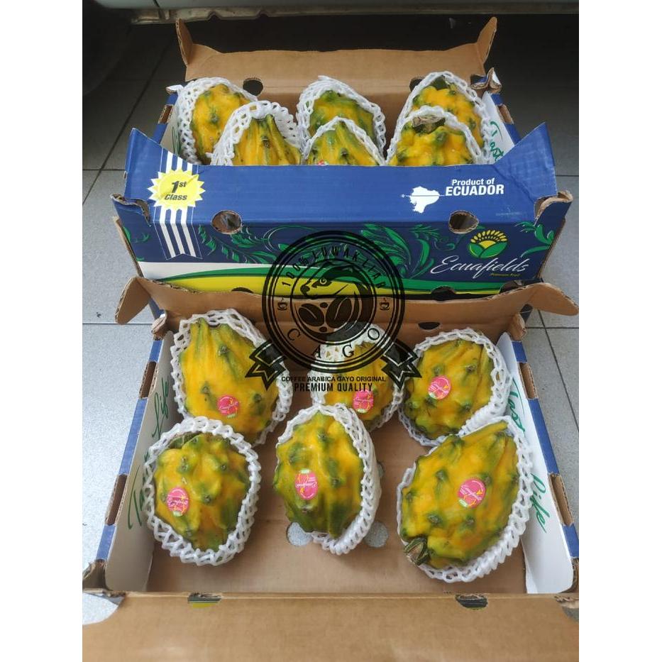 Buah Naga Kuning Ekuador 1 Dus (2.4 KG) Fresh Import