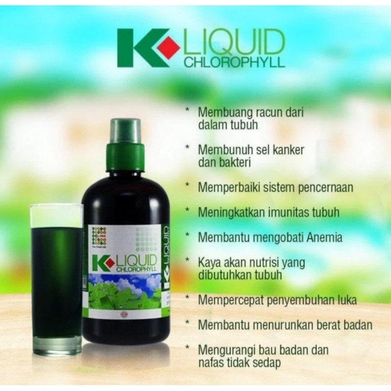 klorofil k link chlorophyll original minuman kesehatan tubuh
