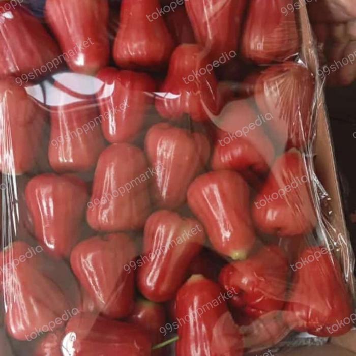 jambu air Citra manis 1 kg