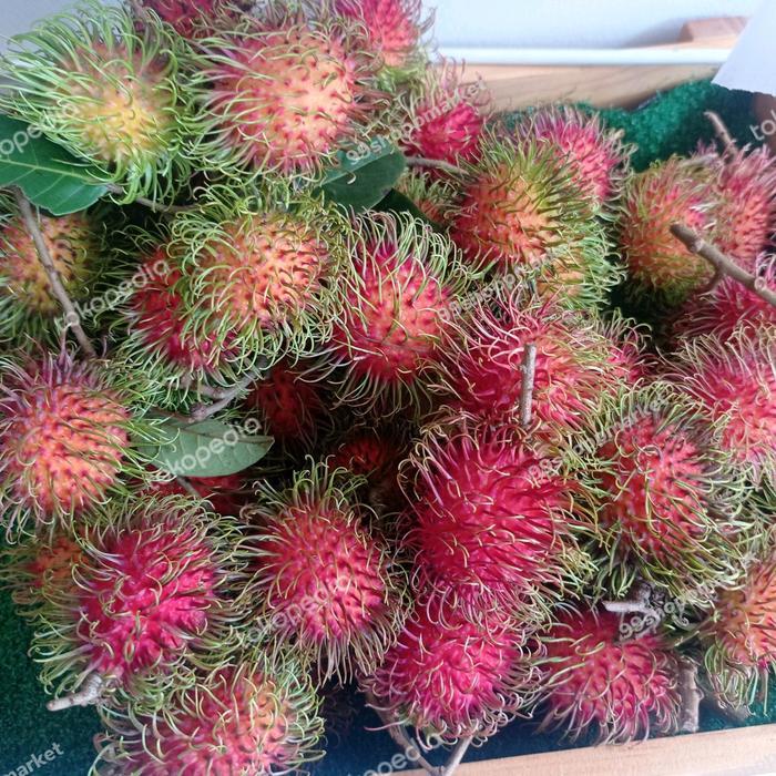 Rambutan binjai manis 1 kg
