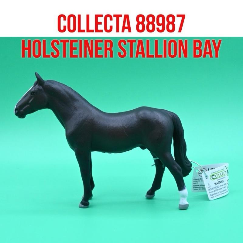 CollectA 88987 Holsteiner Stallion Bay Horse Kuda Jantan Equus Caballus | Mainan Binatang Miniature 