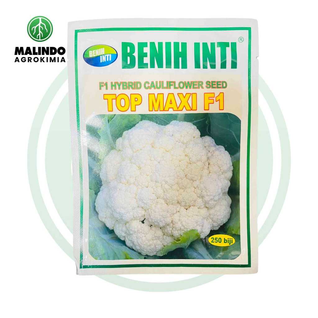 Benih Cauliflower F1 TOP MAXI 250btr dari PT DINASTY INTI AGRO SARANA