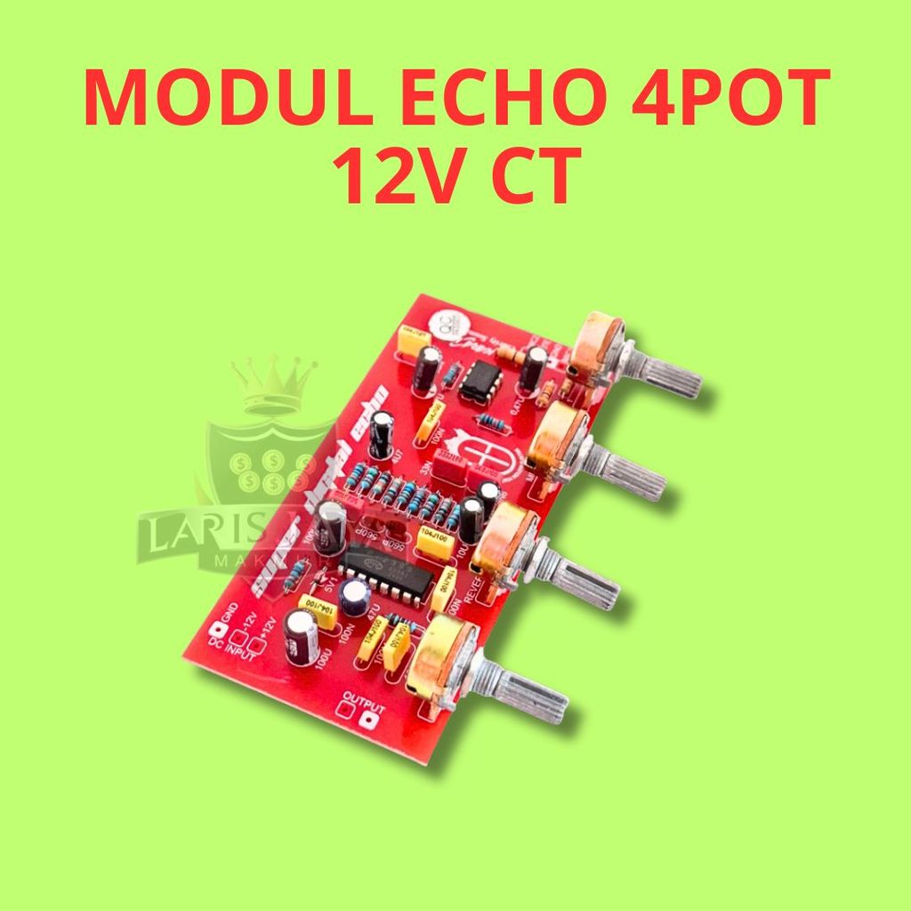 Modul Super Digital Echo 12V CT 4 Potensio Speed Reverb Mic1 Mic2 PCB Siap Pakai