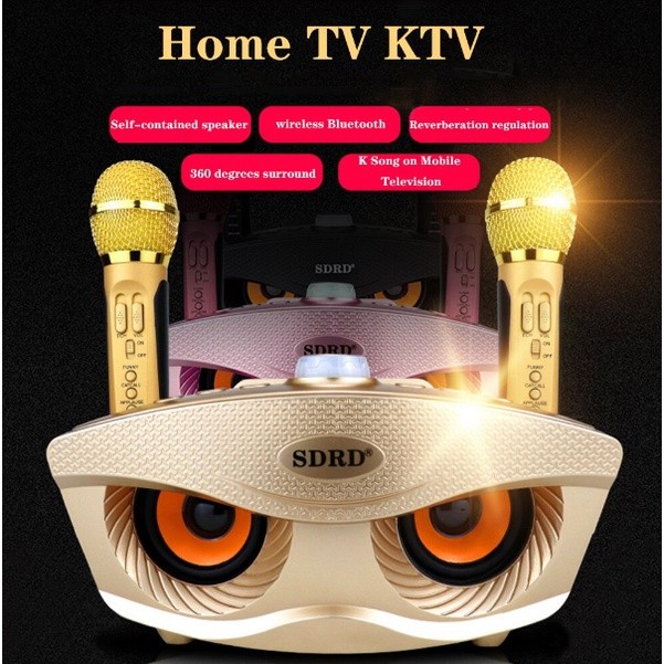 SDRD SD 306 SPEAKER KARAOKE BLUETOOH SDRD SD306 DENGAN 2 MICROPHONE WIRELESS