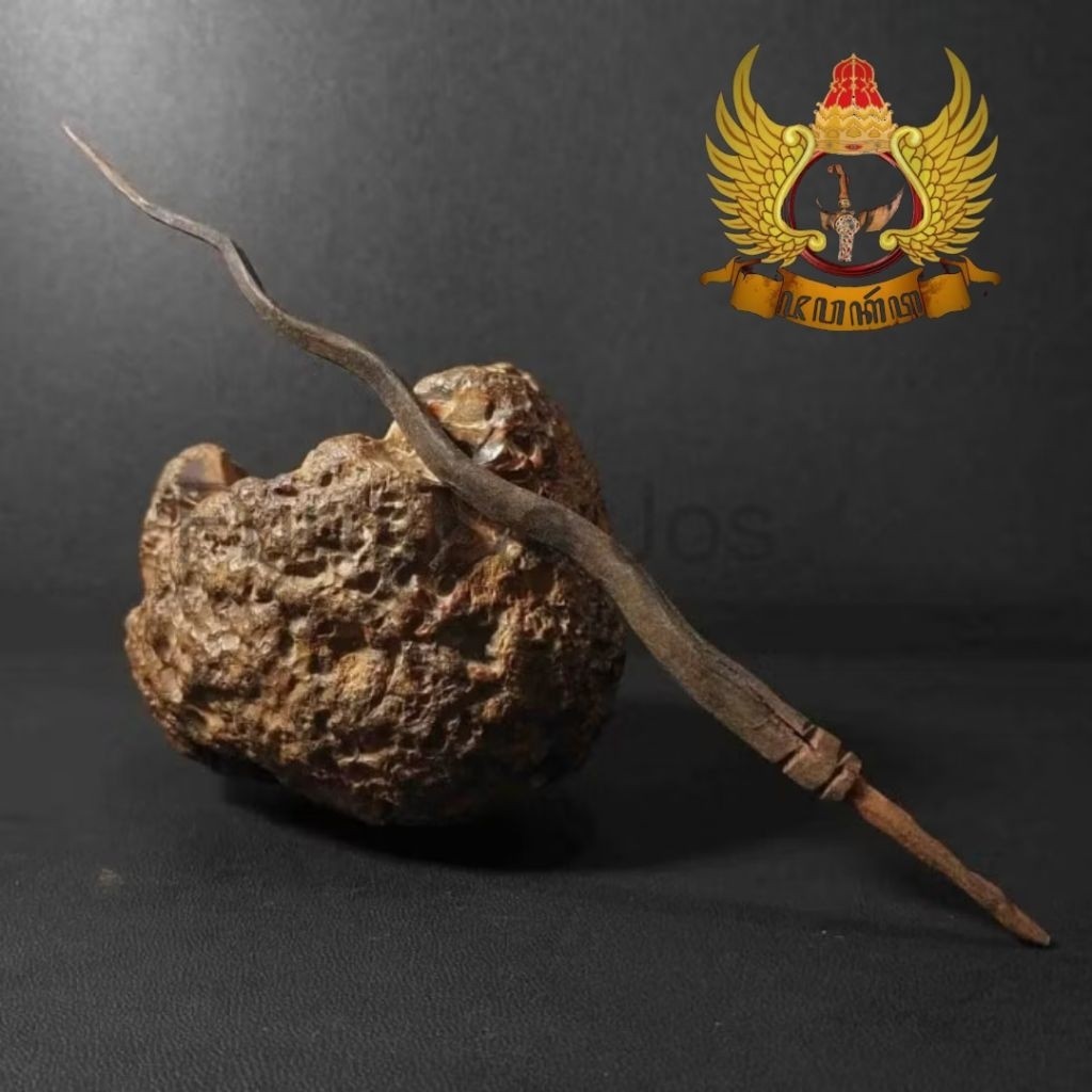 Koleksi Pajangan Cacing Kanil Pamor Mrambut Murah