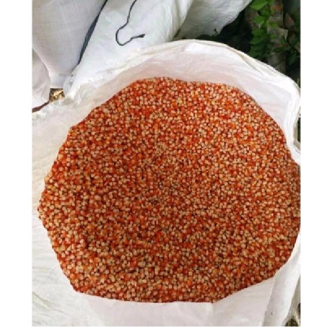 Jagung Pakan Ayam Jagung Merpati 1kg murah - 1000