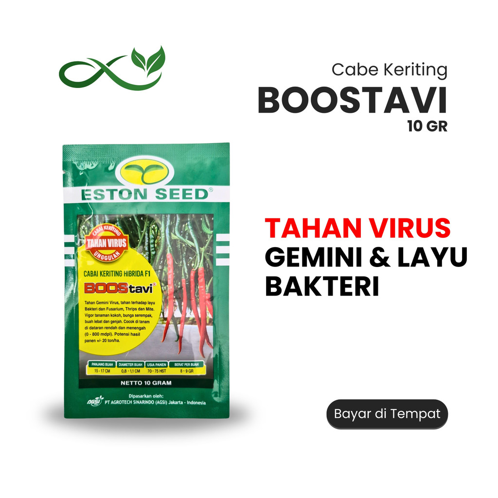 Boostavi 10gr - Benih Cabai Keriting Hibrida Tahan Virus Gemini & Layu Bakteri