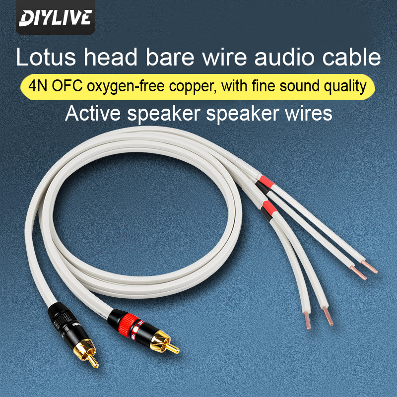 Single lotus speaker cable subwoofer connected to satellite box 2.1 main and auxiliary active RCA au