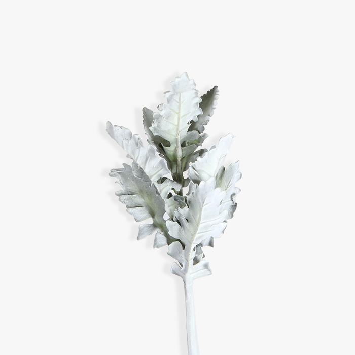 KANA Milano - Dekorasi Tanaman