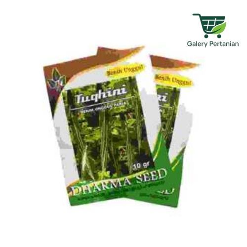 Benih Pare Belut Tuqhini 10gr Original Kemurnian 98%