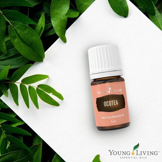 young living ocotea 5ml essential oil essentials original