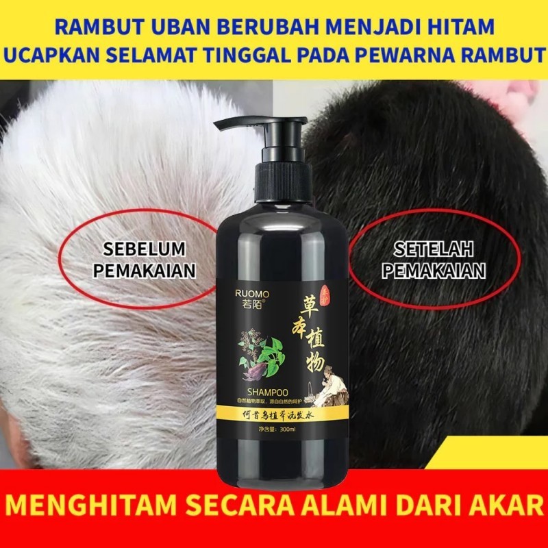 Shampo Penghilang Uban 300ml Permanen Penghitam Black Herbal Natural Polygonum Multiflorum Anti Keto