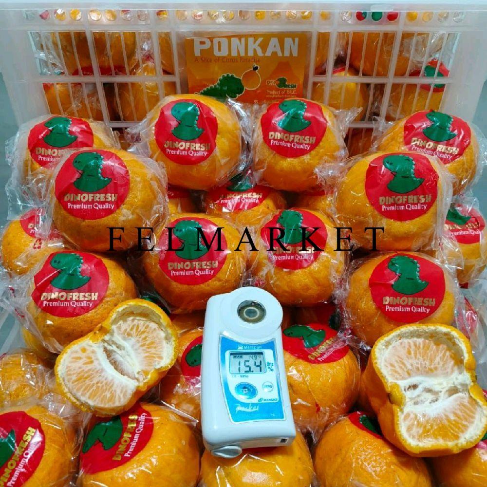 Buah Jeruk Ponkam Dino Fresh / Jeruk Ponkam 9 Kg / Keranjang