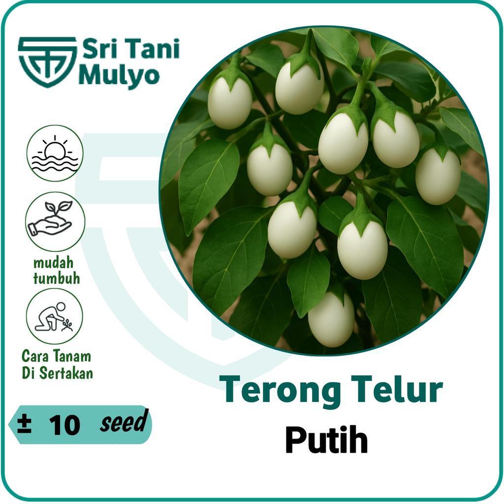 10 BIJI - BENIH TERONG TELUR PUTIH - TERONG PUTIH BULAT BIBIT SAYURAN - Sri Tani Mulyo