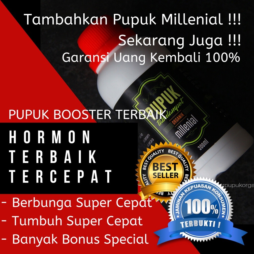 Pupuk Buah Pinang,Pupuk Pelebat Buah Pinang,Pupuk Untuk Buah Pinang,Pupuk Pembesar Buah Pinang,Pupuk