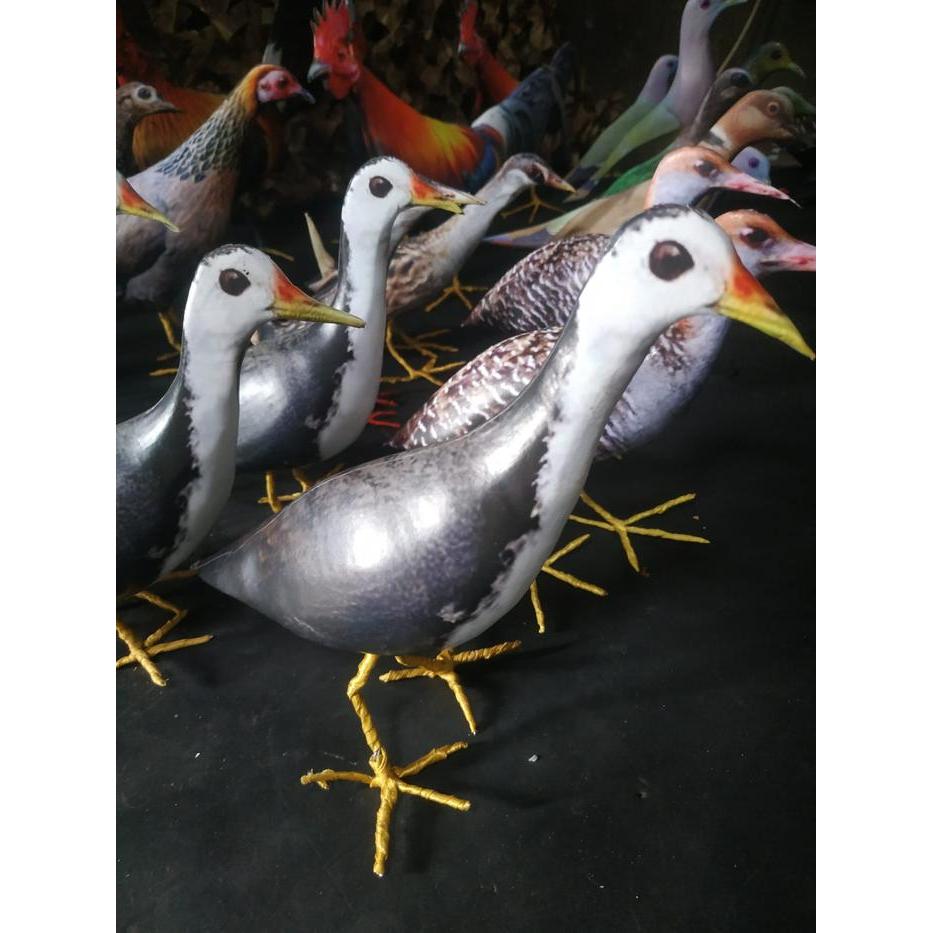 jontrot pancingan burung kareo/boneka burung pancingan ruak ruak