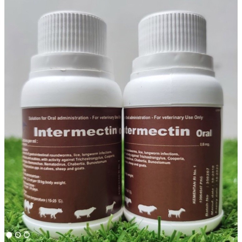INTERMECTIN ORAL 100ML OBAT HEWAN KUCING KELINCI KAMBING SAKIT GATAL SCABIES GUDIK ANTI KUTU TUNGAU