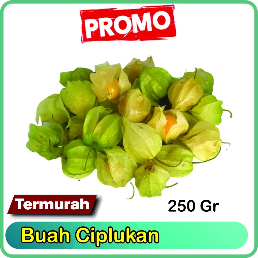 Buah Ciplukan Segar 250 Gram Antioksidan