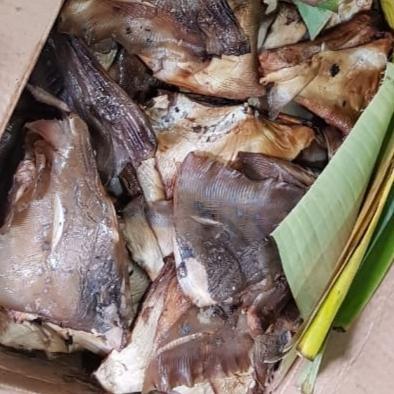 Ikan asap | ikan pari asap | ikan pe asap | mangut ikan pe Terlaris
