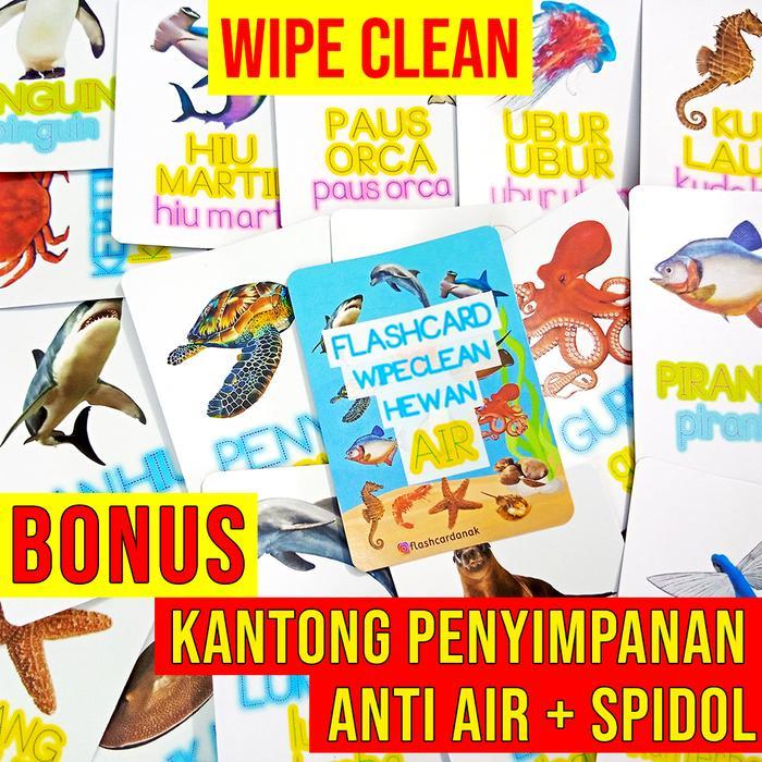 Flashcard Anak Hewan Air Hidup di Laut Ikan Hiu Gurita Cumi Cumi Udang